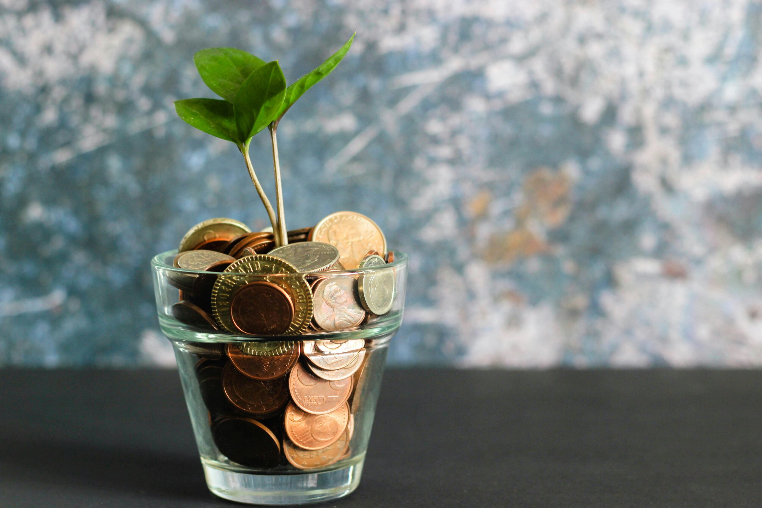 jar of cons with a plant in it for saving money